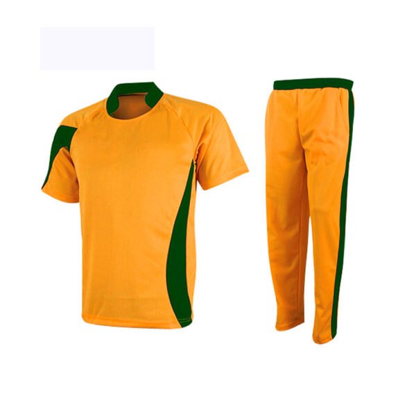 Cricket suit 
